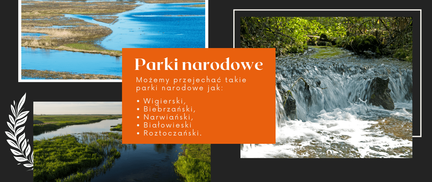 szlak rowerowy green velo prowadzi przez parki narodowe