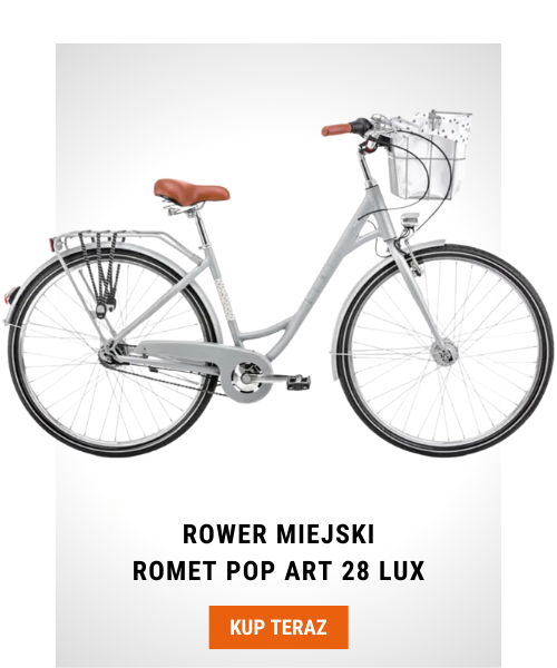 Rower Romet Pop Art 28 Lux szary