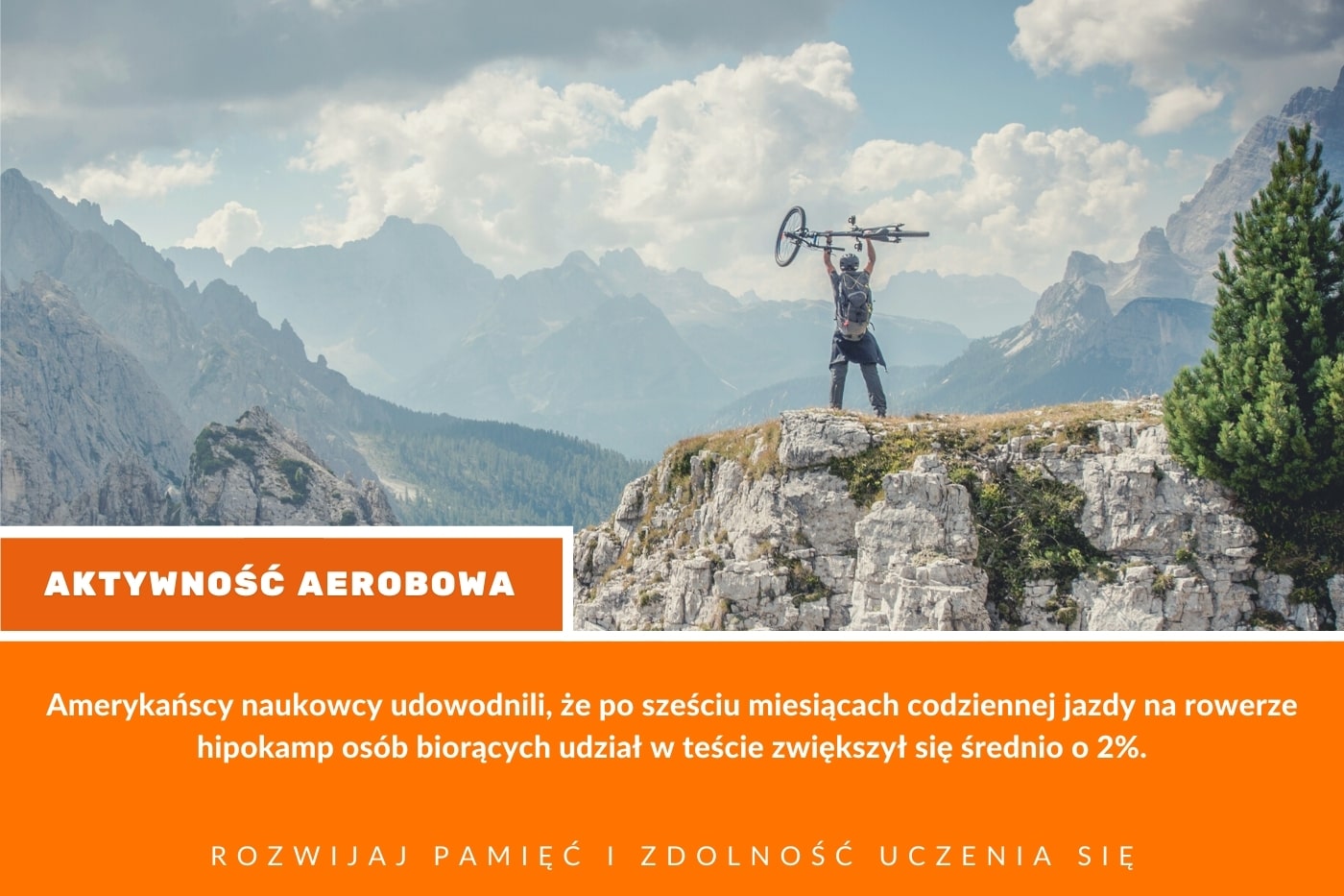 wpływ jazdy na rowerze rozwija pamięć i zdolność uczenia się