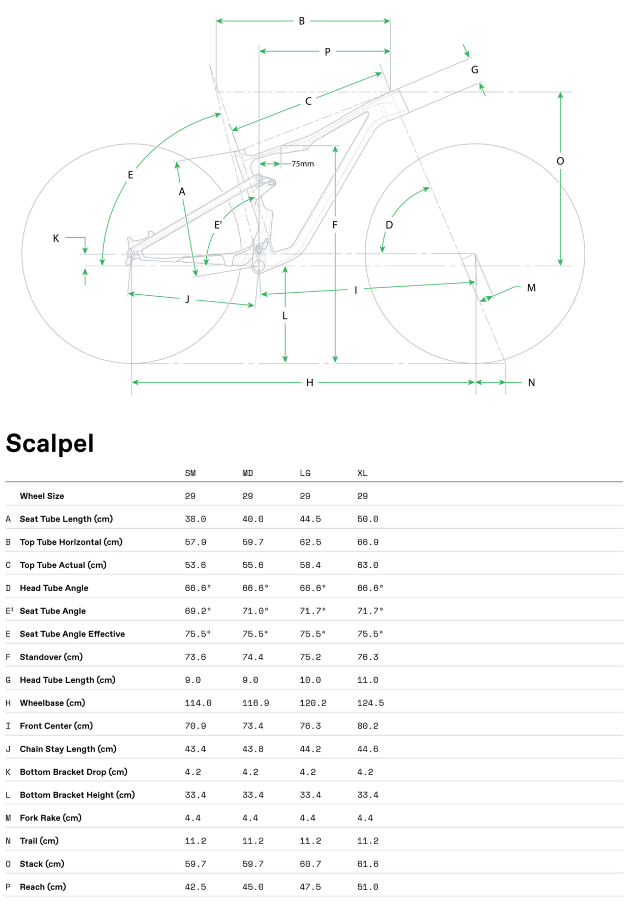 Geometria roweru Cannondale Scalpel